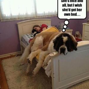 Meet your Posher, Patty